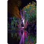    Oase ProfiLux Garden LED RGB