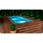   Ocean Premium  1037 10.3x3.7x1.5  : 