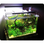   Dennerle Nano Scaper's tank, 35 