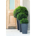   () Keter Rattan Planter M 55,4L, 