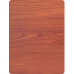  Дверь для турецкой бани DoorWood (Дорвуд) 80x190 АРТ Wood 50 прозрачное, левая